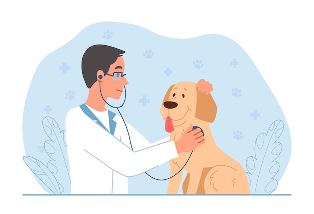 Veterinarian with dog