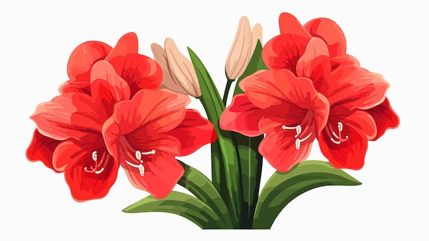 Vibrant Amaryllis Clipart Vector Illustration