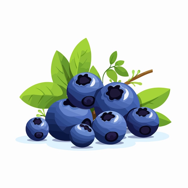 Vector vibrant blue berries of bog great bilberry blueberry whort