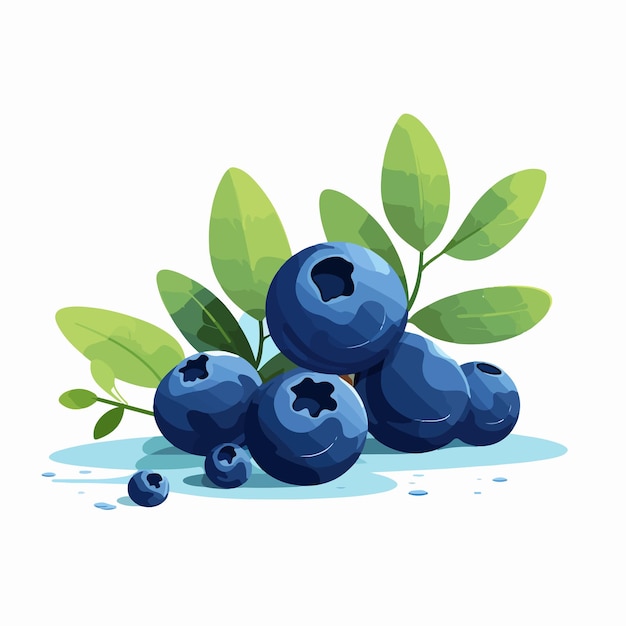 Vector vibrant blue berries of bog great bilberry blueberry whort