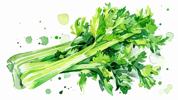 Vibrant Celery Watercolor Illustration with Chopped Celery Isolated on White Background