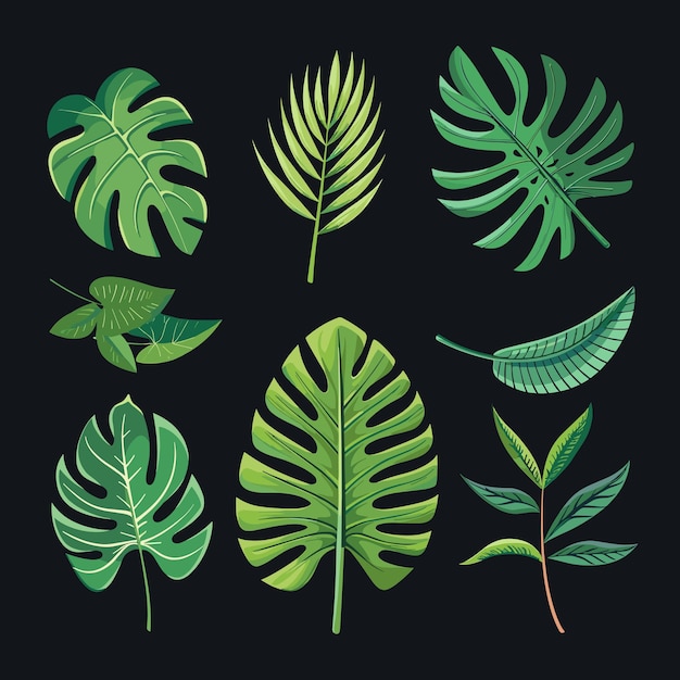 Vector a vibrant collection of assorted tropical leaves on a dark background