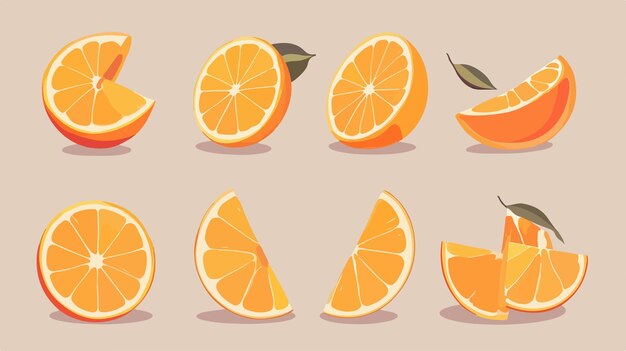 Vector vibrant collection of fresh orange fruit slices in flat vector design