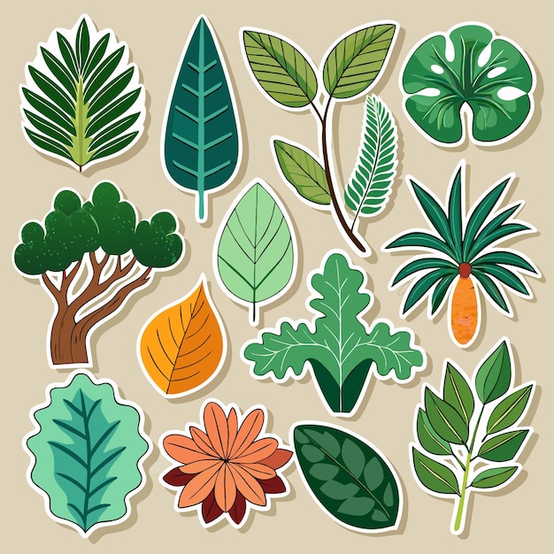 Vibrant Collection of Leaf Illustrations Diverse NatureInspired Design Elements