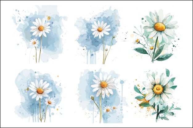 Vector vibrant daisy watercolor florals