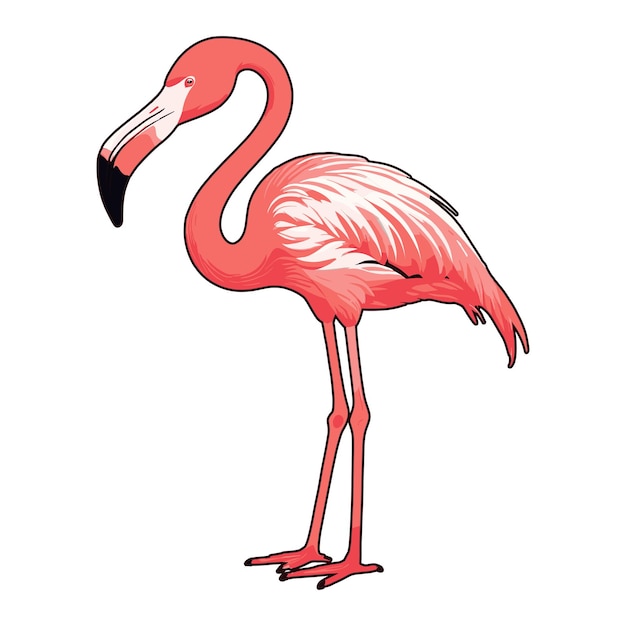 Vibrant Flamingo Vector Illustration