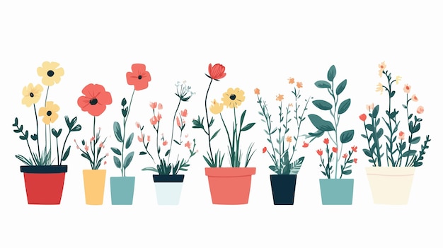 Vector vibrant flowers in pots concept for botany and gardening enthusiasts