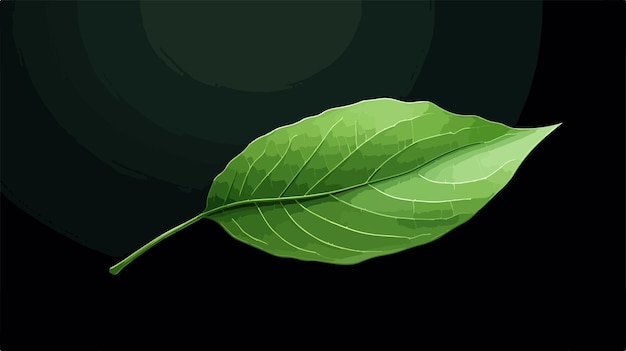 Vector vibrant green cute little leaf on dark background