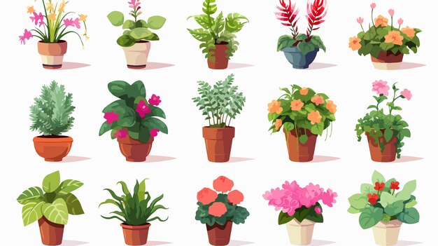 Vector vibrant indoor garden plants and fresh flowers on white background