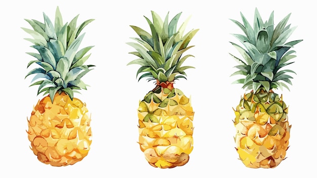 Vibrant Pineapple Hand Drawn Watercolor on White Background