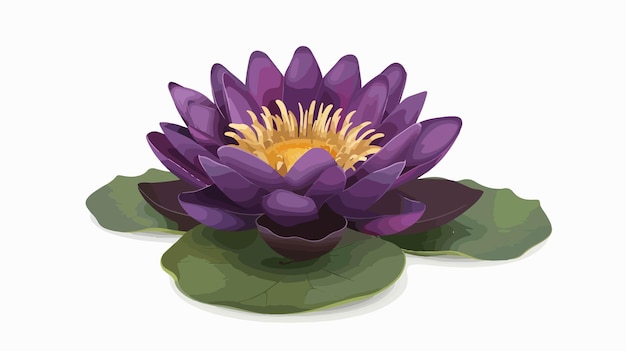 Vibrant Purple Lotus Flower with Yellow Center and Green Leaf