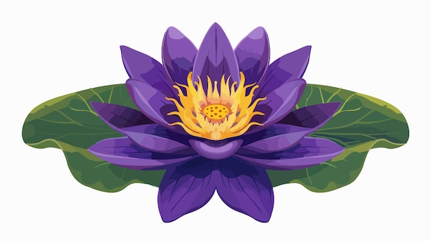 Vibrant Purple Lotus Flower with Yellow Center and Green Leaf