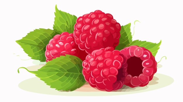 Vector vibrant ripe raspberries with lush green leaves on clean white background