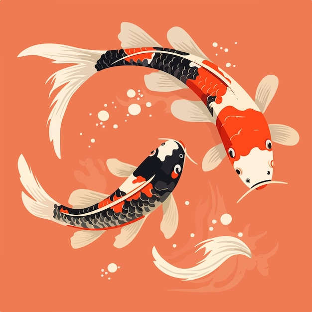 Vector vibrant two japanese koi carps swimming in orange background