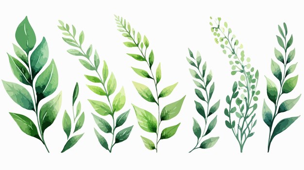 Vibrant Watercolor Green Plant Illustration for Spring or Summer