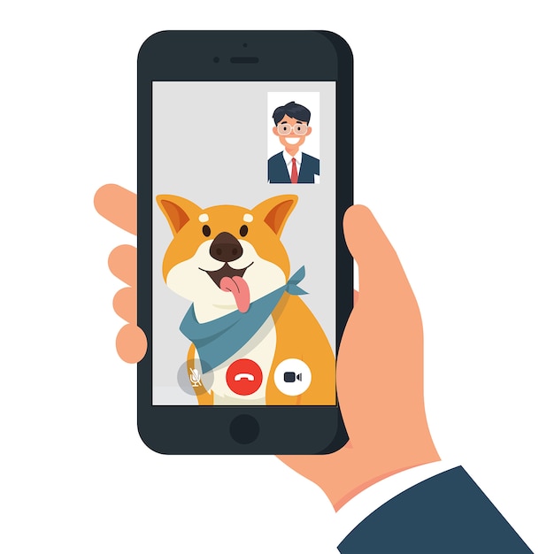 video call with dog / pet