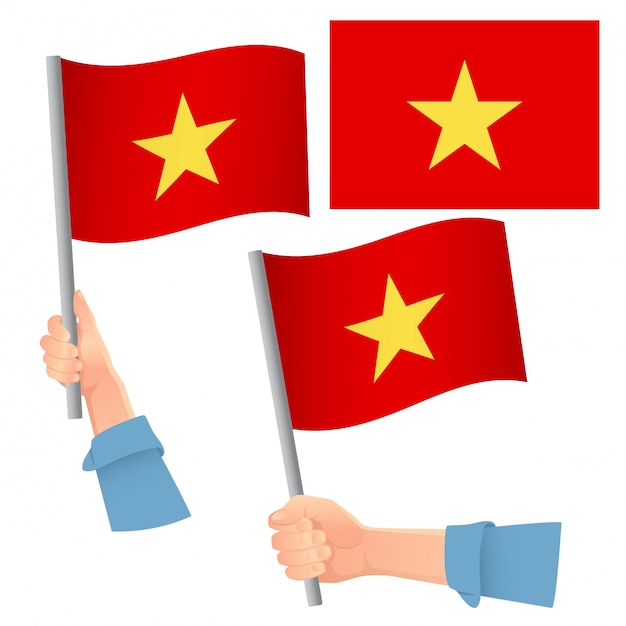 Vietnam flag in hand set