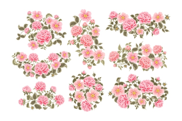 Vintage Aesthetic Pastel Pink Rose and Blossom Floral Bouquet Arrangement Illustration Collection