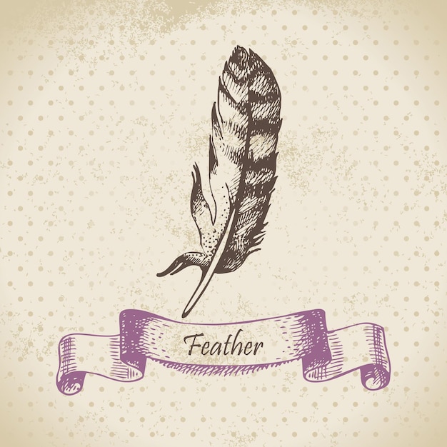 Vintage background with feather. Hand drawn illustration