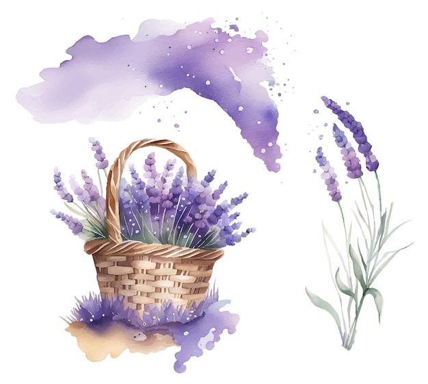 Vintage basket with lavender