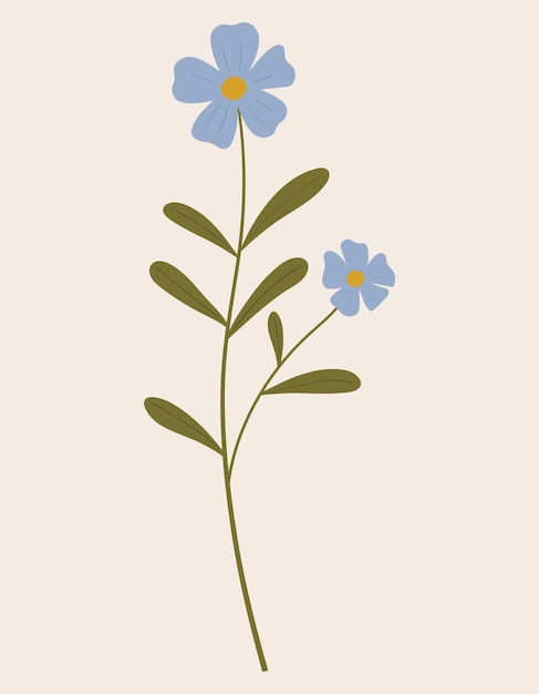 Vintage botanical vector illustration of blue wild flower