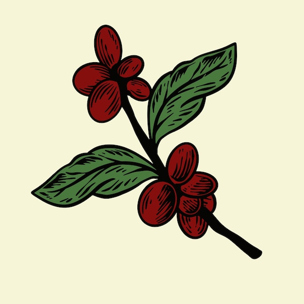 Vintage Coffee Leaf Illustration