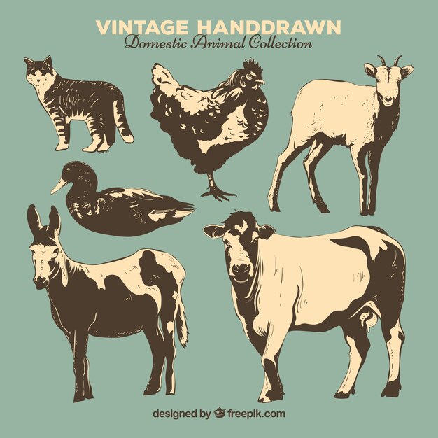 Vector vintage collection of hand drawn farm animals