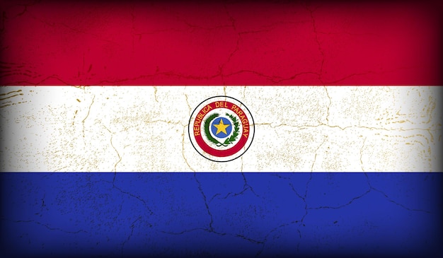 vintage crack texture style paraguay flag design vector