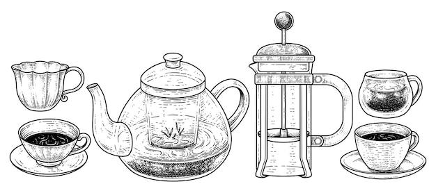 Vintage Drinks and Beverages Collection Hand drawn Sketch Elements vector Illustration