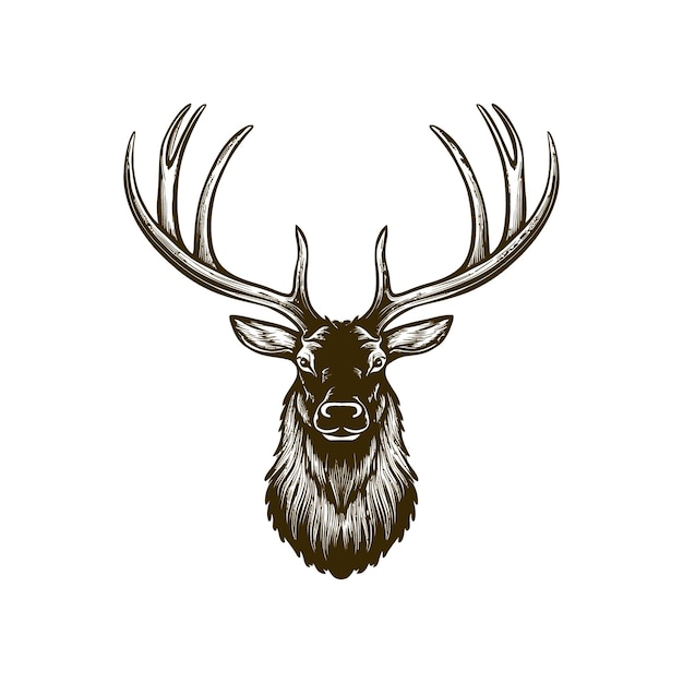 Vector vintage engraving woodcut vector illustration art design of elk