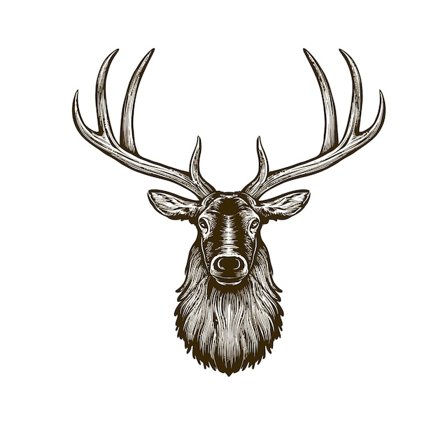 Vector vintage engraving woodcut vector illustration art design of elk