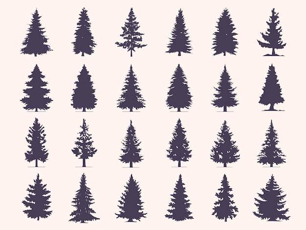 Vintage evergree trees and forest silhouettes set in monochrome style isolated vector illustration