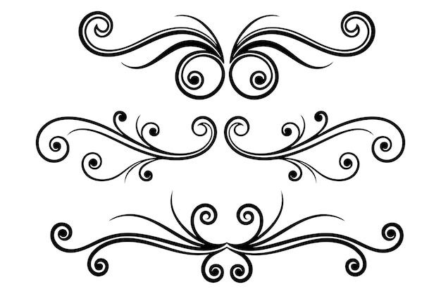 Vector vintage filigree swirls calligraphy decorative scroll fancy line flourishes