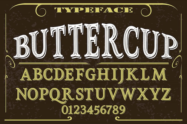 Vintage Font handcrafted vector script alphabet