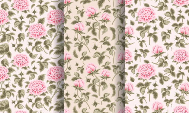 Vintage Hand Drawn Beautiful Pink Rose Garden Flower Seamless Pattern Set