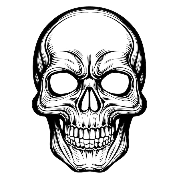 Vector vintage human skull concept