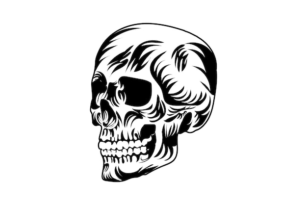 Vintage Human Skull  Premium Vector