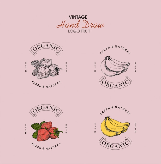 Vintage logo fruit hand drawn style