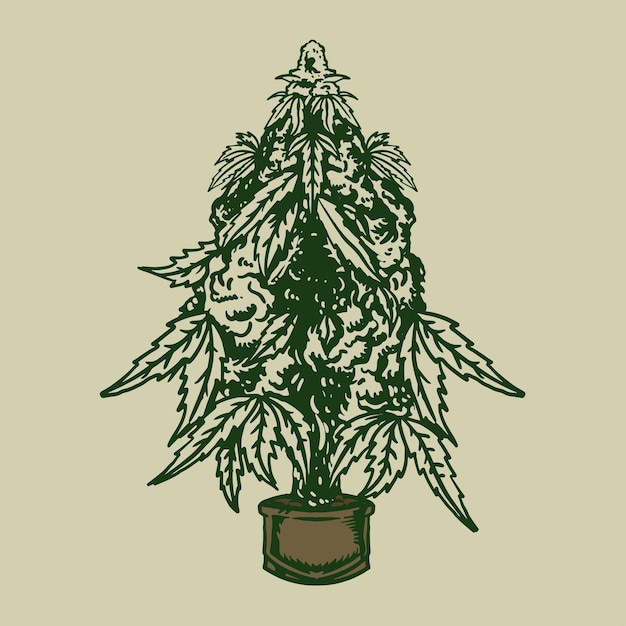 Vintage marijuana plant illustration