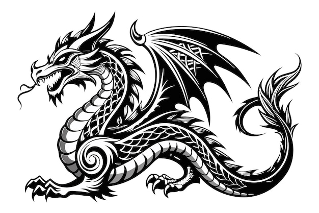 vintage monochrome tattoo of dragon white background