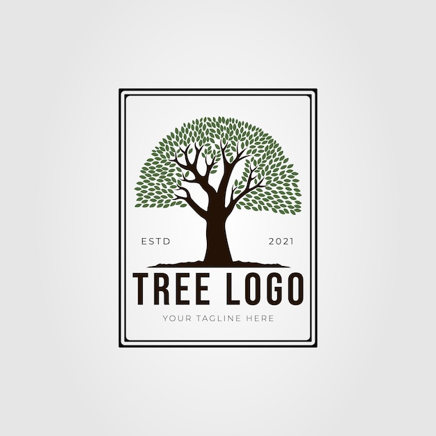 Vintage Oak tree or banyan plant logo vector illustration design