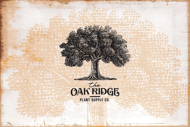 Vintage oak tree logo template