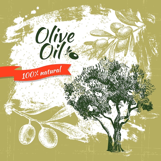 Vector vintage olive background. hand drawn illustration