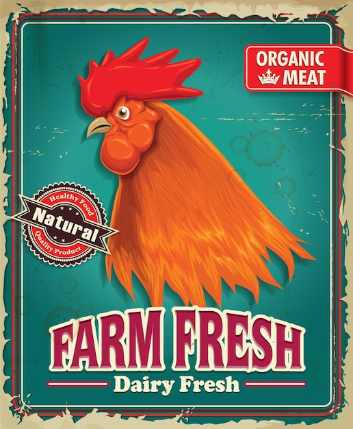 Vintage organic farm fresh rooster poster design