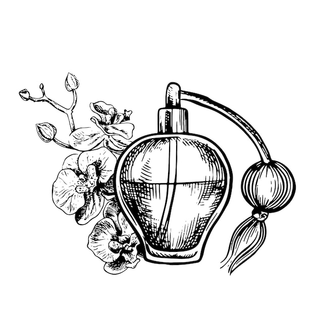 Vector vintage perfume bottle made of transparent glass handmade black and white vector graphics