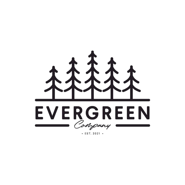 Vintage pine tree evergreen logo with line art style design template