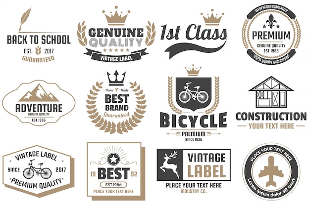 Vintage Retro Vector Logo for banner