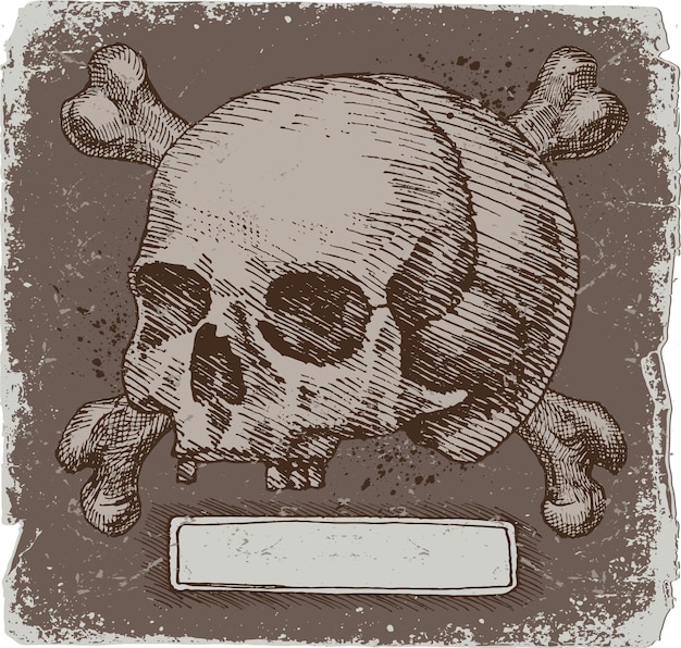 Vintage Skull in Vector Design Style