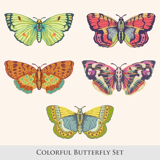 Vintage Style Beautiful Butterfly And Moth Design Set