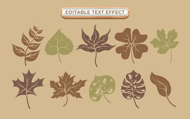 Vintage Themed Leaf Collection